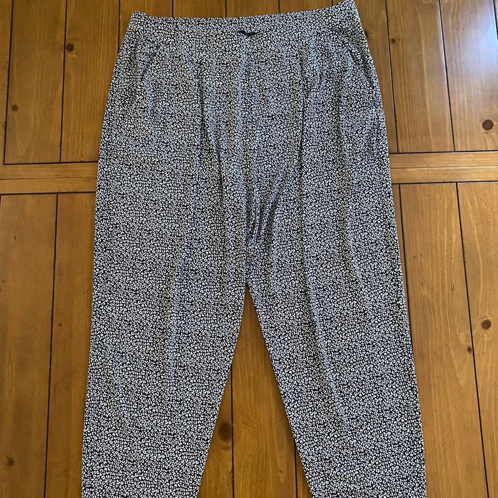 Express joggers.